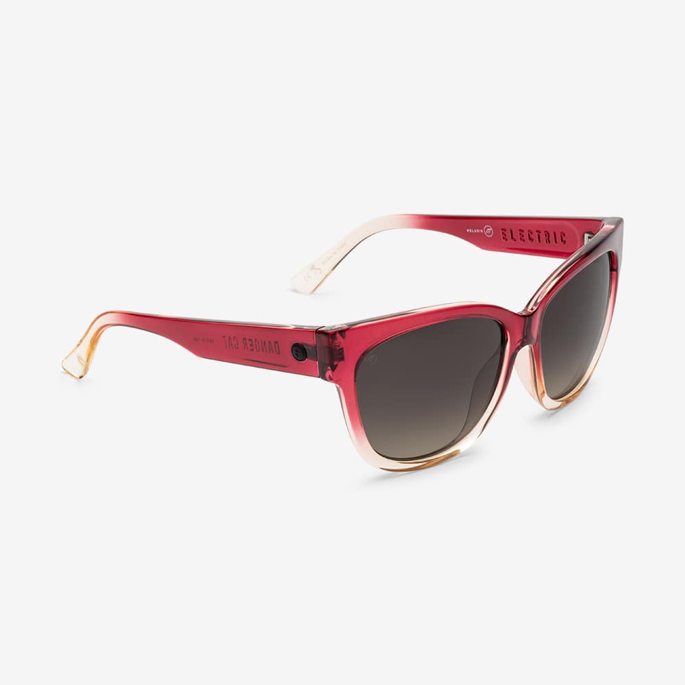 Electric danger cat sunglasses shop